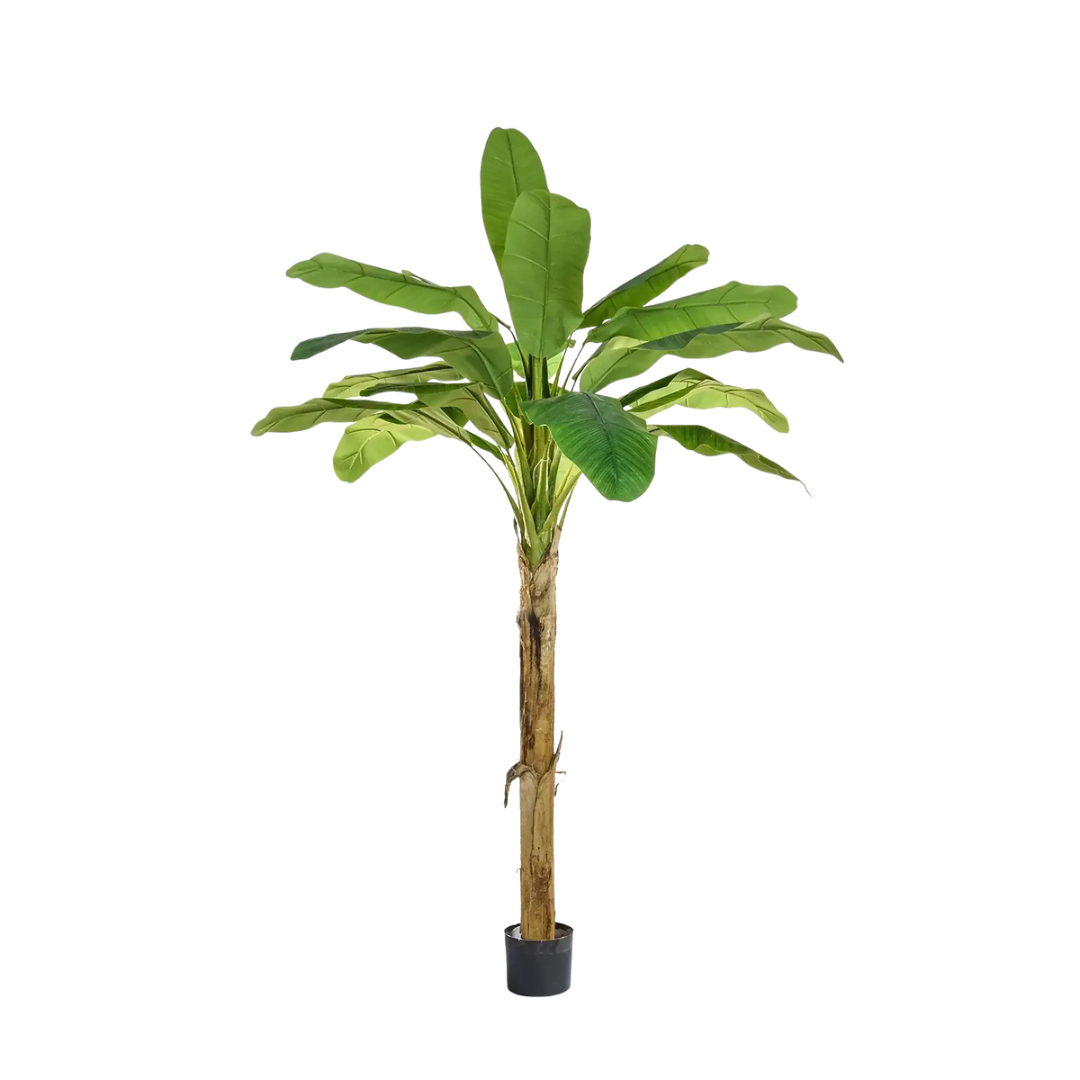 Künstlicher Bananenbaum - Jonas, 180 cm, Kunstbaum von aplanta, feuerhemmend, B1-zertifiziert, in Grün, für drinnen