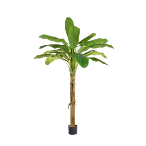 Künstlicher Bananenbaum - Jonas, 180 cm, Kunstbaum von aplanta, feuerhemmend, B1-zertifiziert, in Grün, für drinnen
