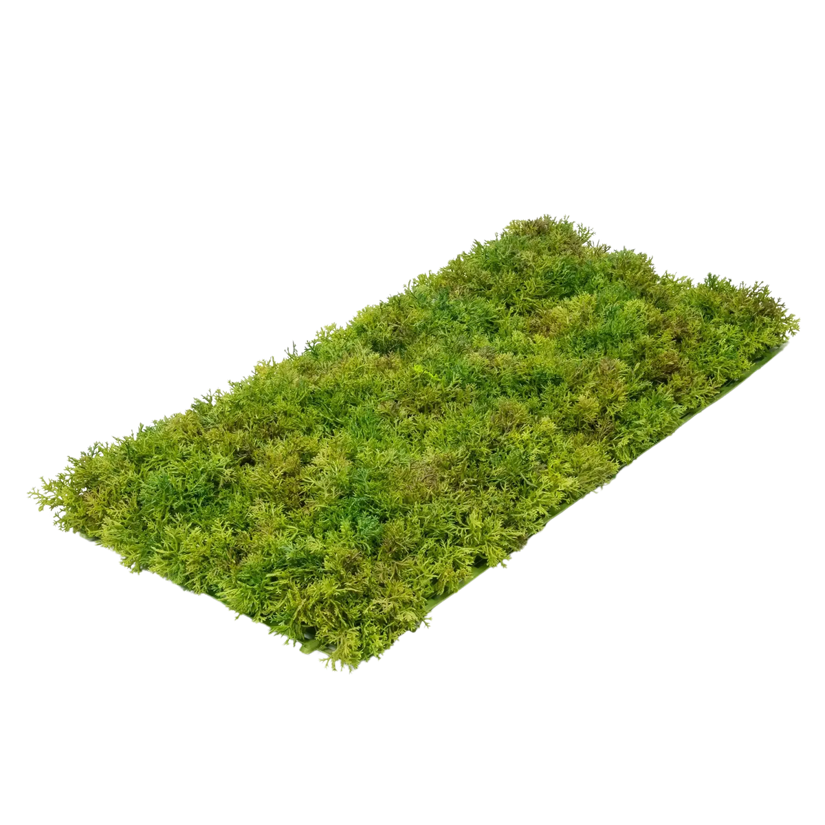 Künstliche Moosmatte - Aloisia, 25 cm, Kunstpflanze von aplanta, UV-beständig, feuerhemmend, B1-zertifiziert, in Grün