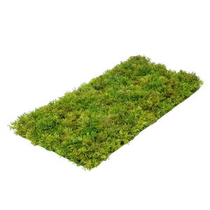 Künstliche Moosmatte - Aloisia, 25 cm, Kunstpflanze von aplanta, UV-beständig, feuerhemmend, B1-zertifiziert, in Grün
