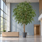 Künstlicher Ficusbaum - Satos | 500 cm