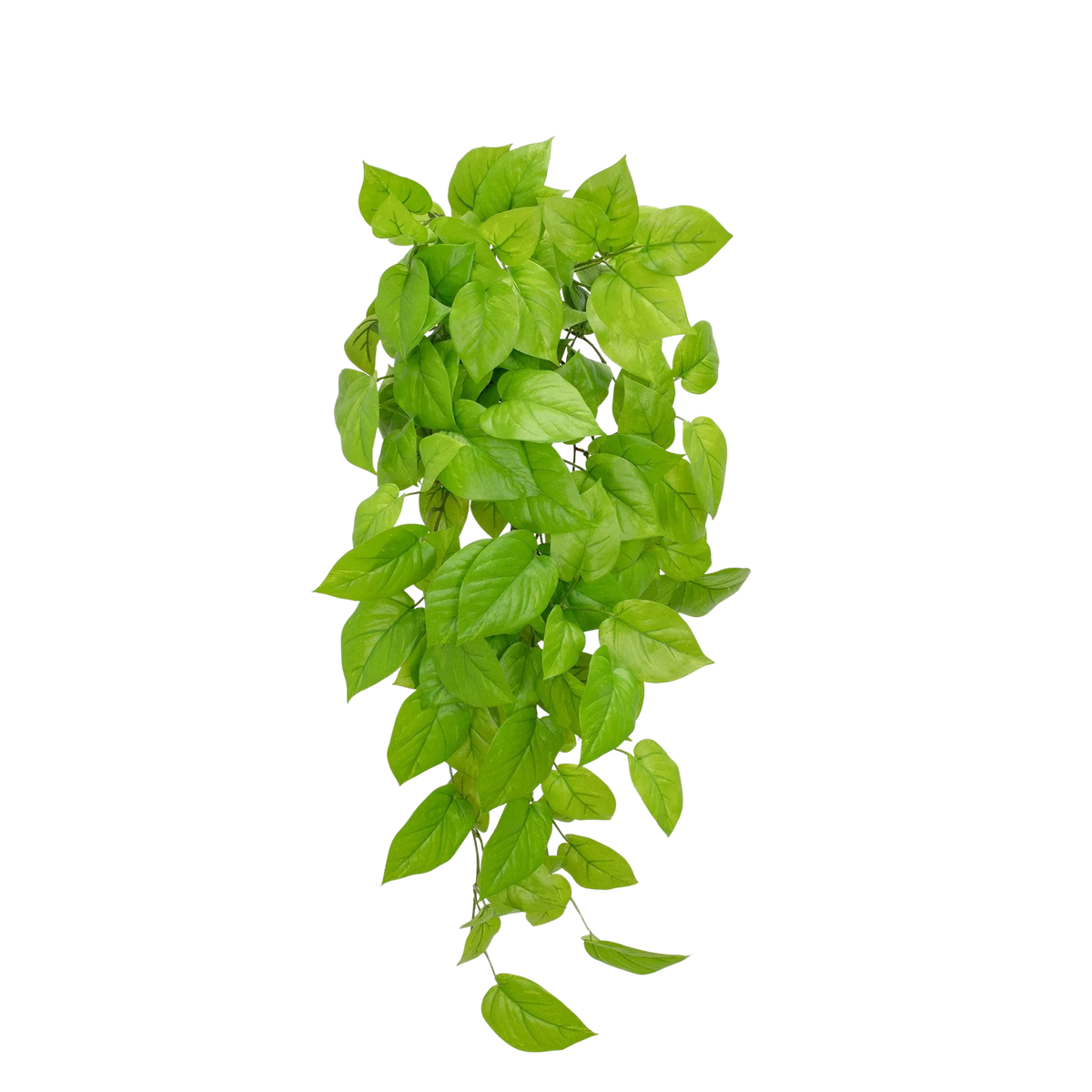 Künstlicher Pothos - Sky, 83 cm, Kunstpflanze von aplanta, feuerhemmend, B1-zertifiziert, Steckpflanze, in Grün, für drinnen