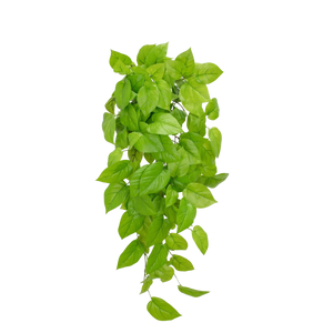 Künstlicher Pothos - Sky, 83 cm, Kunstpflanze von aplanta, feuerhemmend, B1-zertifiziert, Steckpflanze, in Grün, für drinnen