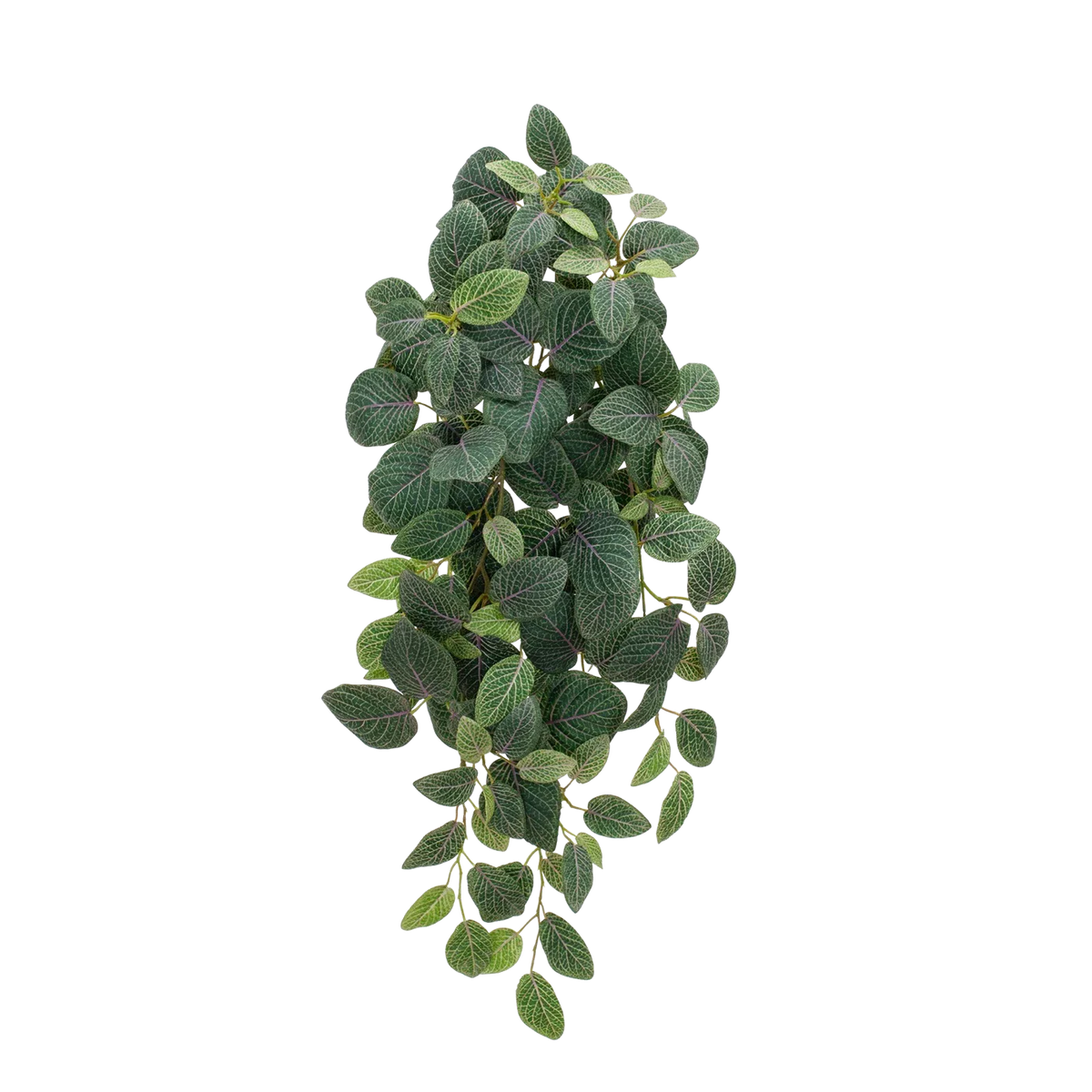 Künstliche Hänge-Fittonia - Tamara, 70 cm, Kunstpflanze von aplanta, feuerhemmend, in Grün, für drinnen