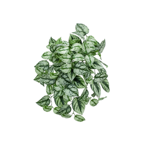 Künstliche Hänge-Scindapsus - Tammi, 40 cm, Kunstpflanze von aplanta, feuerhemmend, in Grün, für drinnen