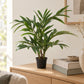 Künstliche Palour Palme - Perlok | 45 cm