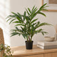 Künstliche Palour Palme - Perlok | 45 cm