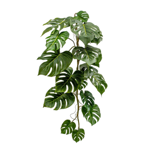 Künstliche Monstera Girlande - Sita, 125 cm, Kunstpflanze von aplanta, feuerhemmend, in Grün, für drinnen