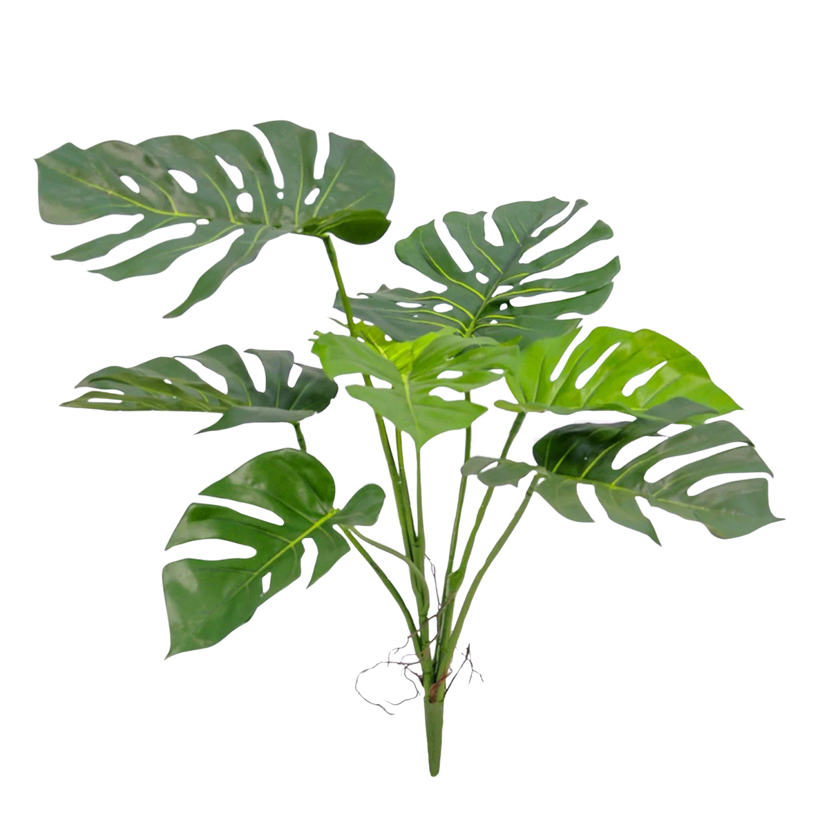 Künstliche Monstera - Lia, 75 cm, Kunstpflanze von aplanta, feuerhemmend, in Grün, für drinnen