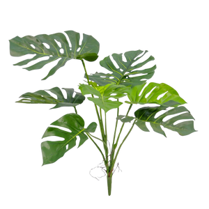 Künstliche Monstera - Lia, 75 cm, Kunstpflanze von aplanta, feuerhemmend, in Grün, für drinnen