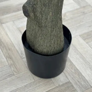 Künstlicher Olivenbaum - Annemarie, 230 cm, Kunstbaum von aplanta, feuerhemmend, in Grün, für drinnen