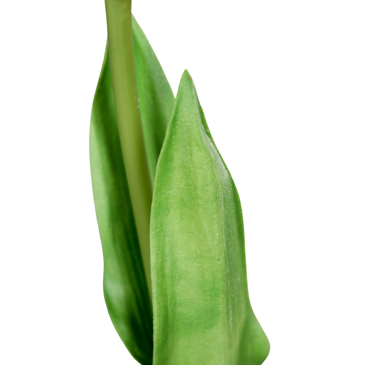 Künstliche Tulpe - Tris, 60 cm, Kunstblume von aplanta, Real Touch, in Weiß, für drinnen & draußen