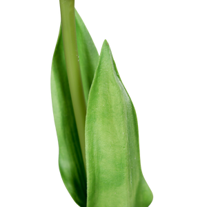 Künstliche Tulpe - Tris, 60 cm, Kunstblume von aplanta, Real Touch, in Weiß, für drinnen & draußen