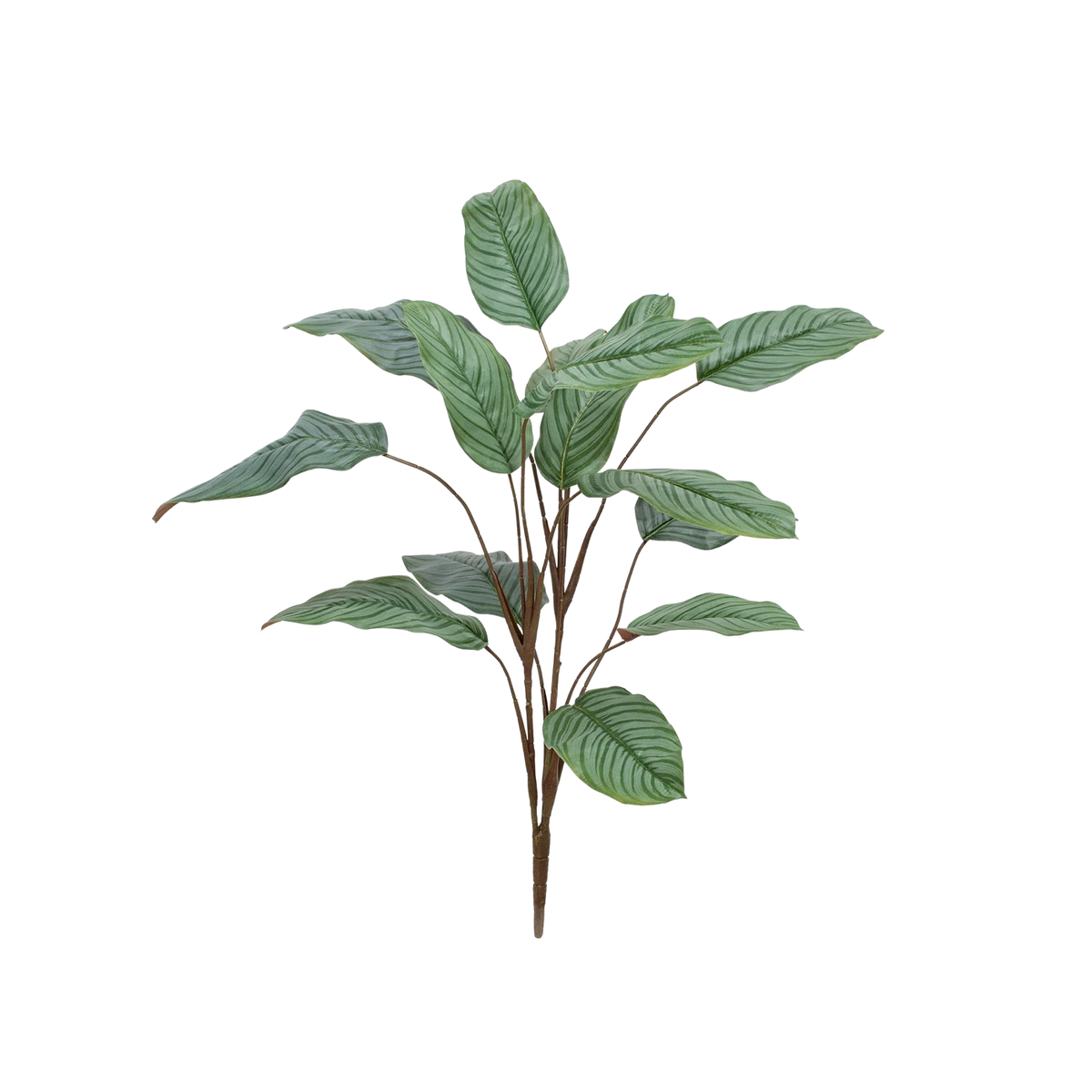 Künstliche Calathea - Pius, 112 cm, Kunstpflanze von aplanta, feuerhemmend, in Grün, für drinnen