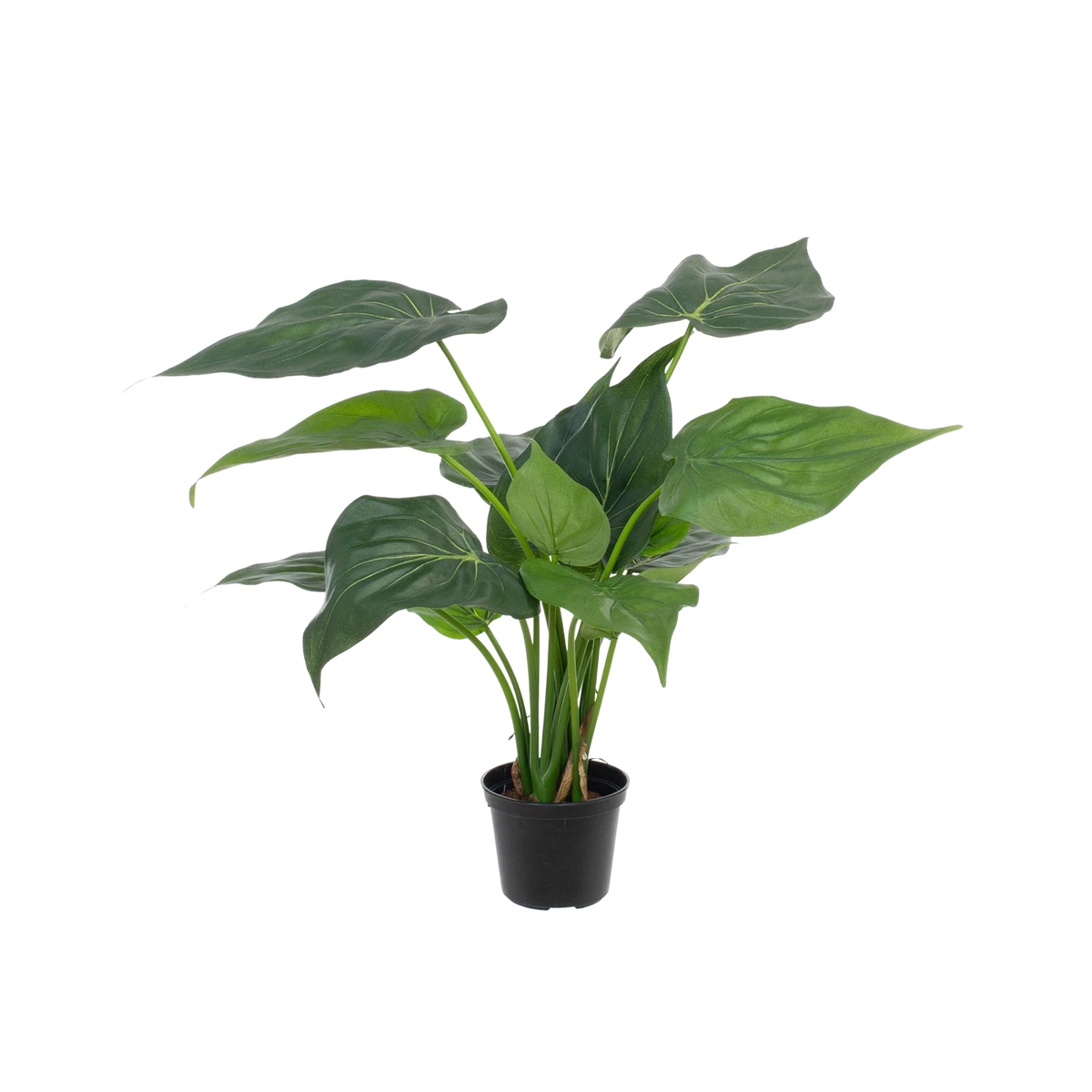 Künstliche Alocasia - Ebba, 40 cm, Kunstpflanze von aplanta, feuerhemmend, in Grün, für drinnen