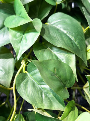 Künstliche Hänge-Monstera - Barbara, 85 cm, Kunstpflanze von aplanta, Steckpflanze, in Natur, für drinnen