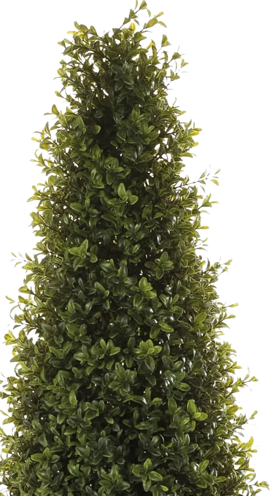 Künstliche Buchsbaumpyramide - Lucy, 165 cm, Kunstbaum von aplanta, UV-beständig, inkl. Dekotopf, im schwarzen Topf, in Natur
