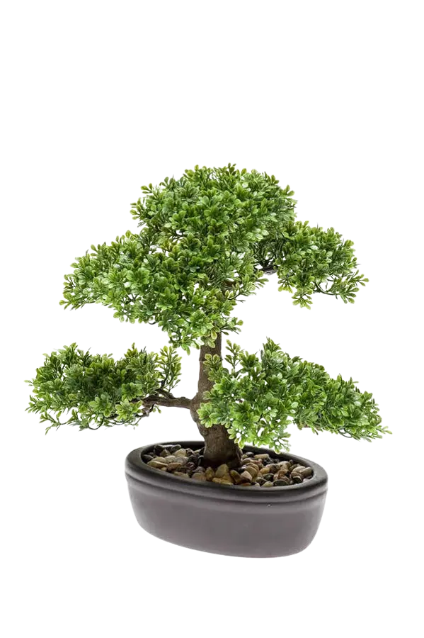 Künstlicher Ficus Bonsai - Yui, 32 cm, Kunstpflanze von aplanta, inkl. Dekotopf, in Natur, für drinnen