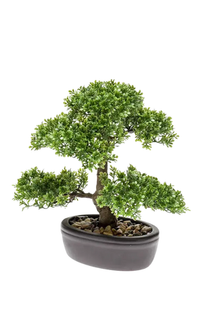 Künstlicher Ficus Bonsai - Yui, 32 cm, Kunstpflanze von aplanta, inkl. Dekotopf, in Natur, für drinnen
