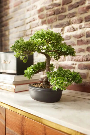 Künstlicher Ficus Bonsai - Yui, 32 cm, Kunstpflanze von aplanta, inkl. Dekotopf, in Natur, für drinnen