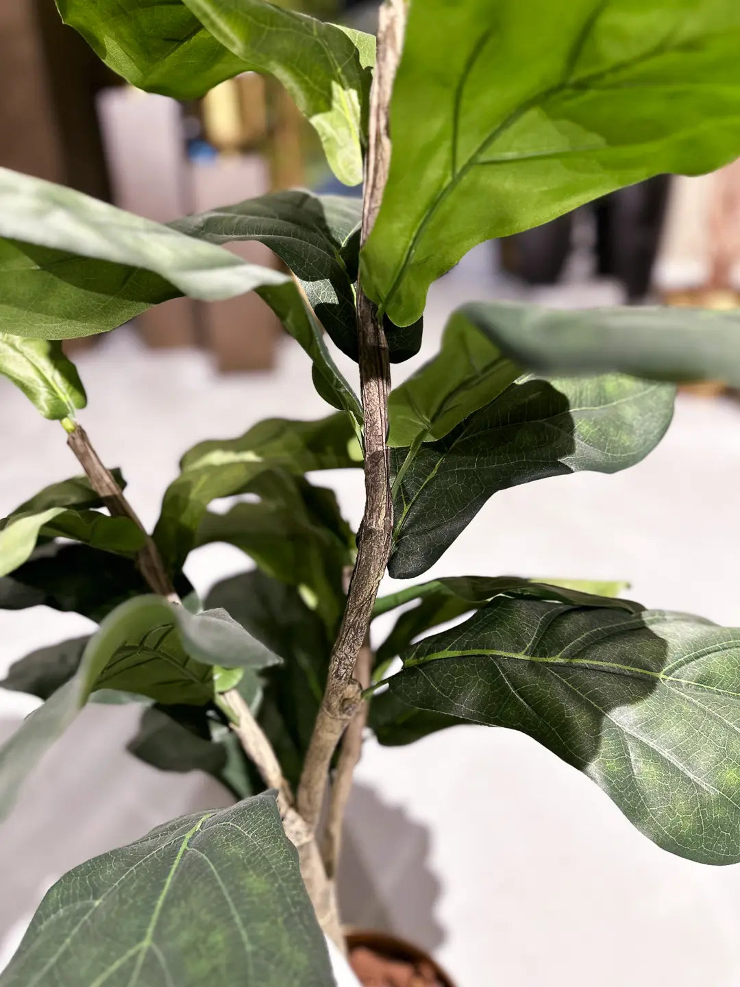 Künstlicher Ficus Lyrata - Mona, 90 cm, Kunstbaum von aplanta, im schwarzen Topf, in Natur, für drinnen
