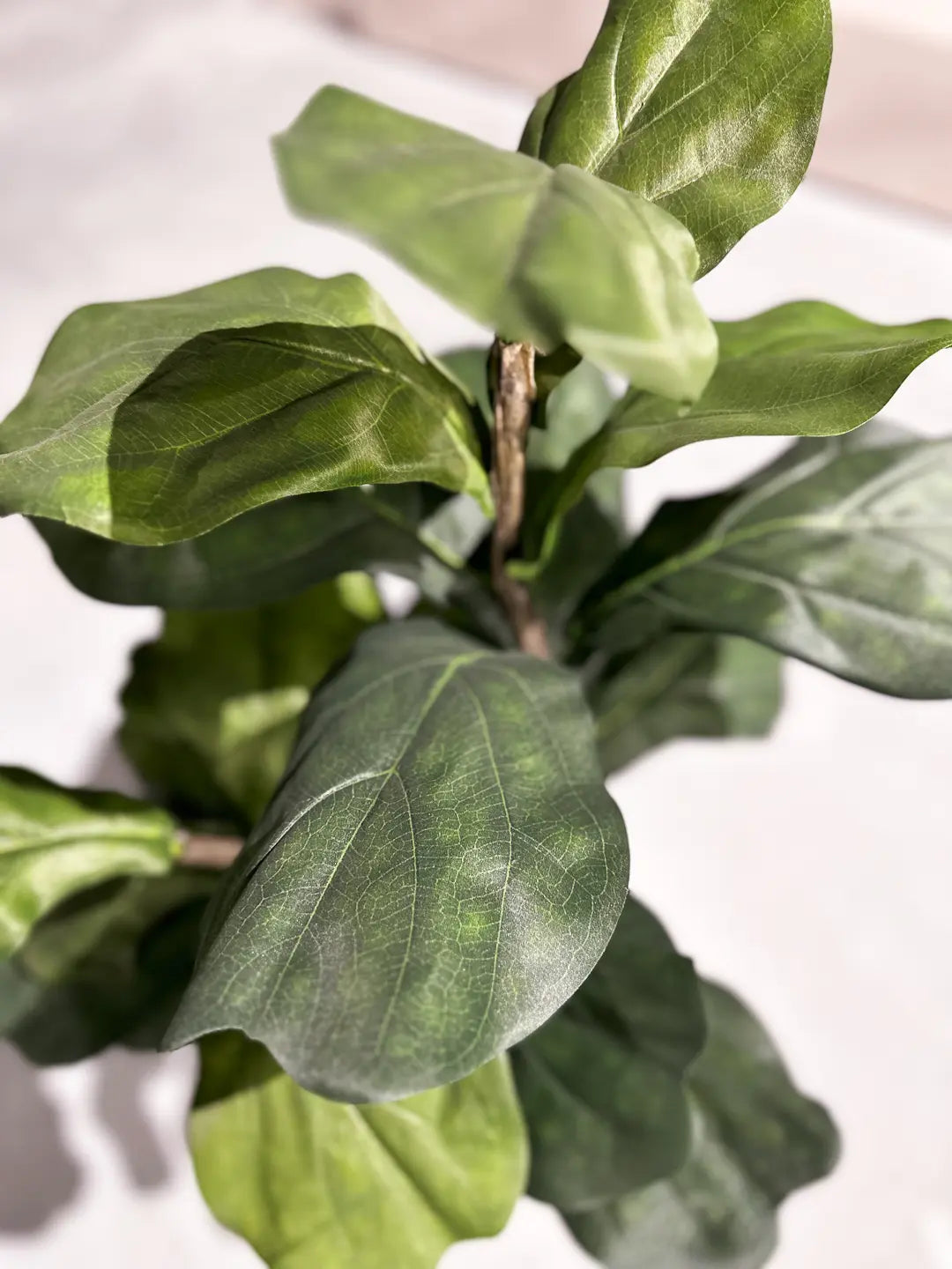 Künstlicher Ficus Lyrata - Mona, 90 cm, Kunstbaum von aplanta, im schwarzen Topf, in Natur, für drinnen