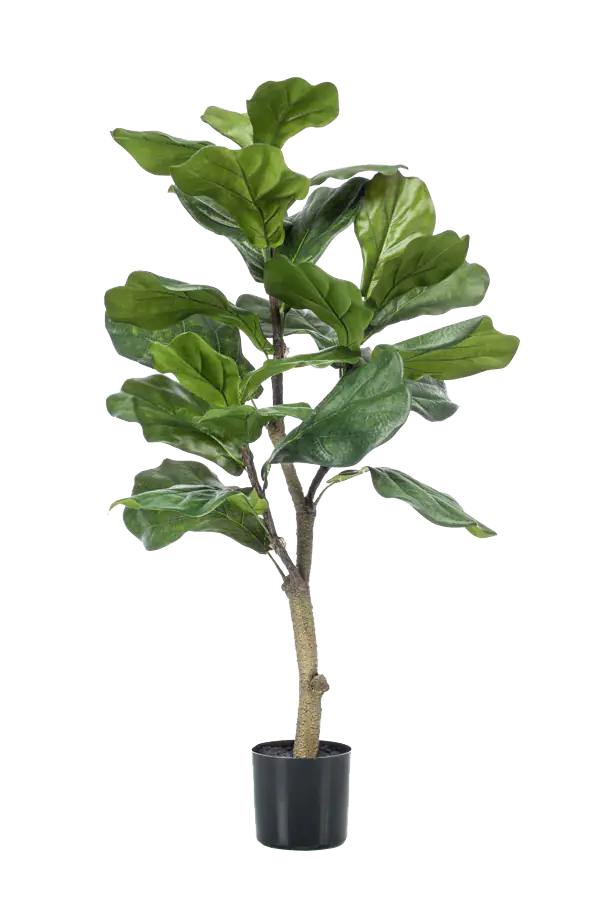 Künstlicher Ficus Lyrata - Mona, 90 cm, Kunstbaum von aplanta, im schwarzen Topf, in Natur, für drinnen