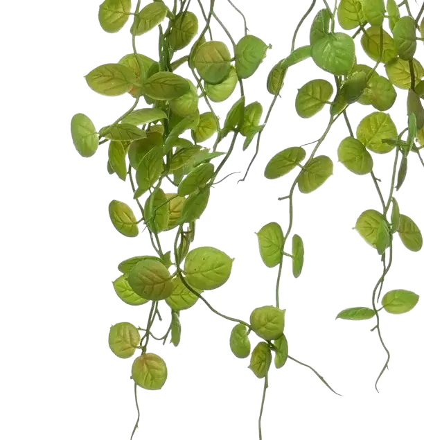 Künstliche Hänge-Leuchterblume - Konrad, 50 cm, Kunstpflanze von aplanta, inkl. Dekotopf, im schwarzen Topf, in Natur