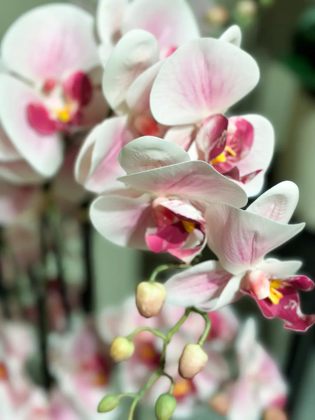 Künstliche Orchidee - Leo, 100 cm, Kunstblume von aplanta, inkl. Dekotopf, in Natur, für drinnen