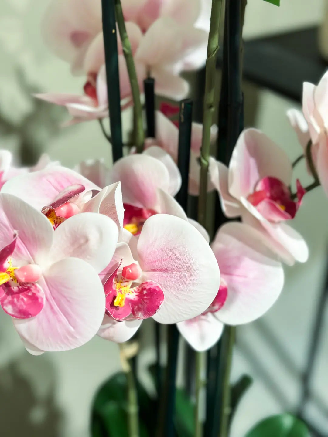 Künstliche Orchidee - Leo, 100 cm, Kunstblume von aplanta, inkl. Dekotopf, in Natur, für drinnen
