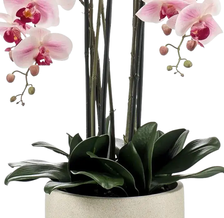 Künstliche Orchidee - Leo, 100 cm, Kunstblume von aplanta, inkl. Dekotopf, in Natur, für drinnen