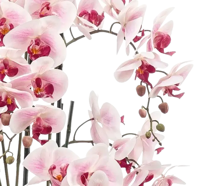 Künstliche Orchidee - Leo, 100 cm, Kunstblume von aplanta, inkl. Dekotopf, in Natur, für drinnen