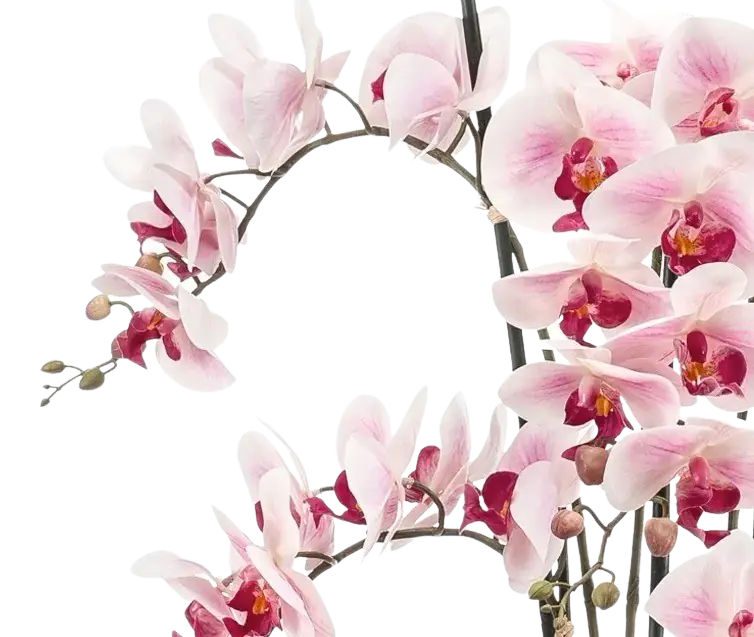 Künstliche Orchidee - Leo, 100 cm, Kunstblume von aplanta, inkl. Dekotopf, in Natur, für drinnen