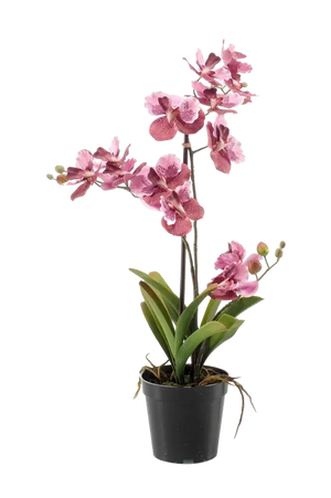 Künstliche Orchidee - Liam, 60 cm, Kunstblume von aplanta, im schwarzen Topf, in Pink, für drinnen