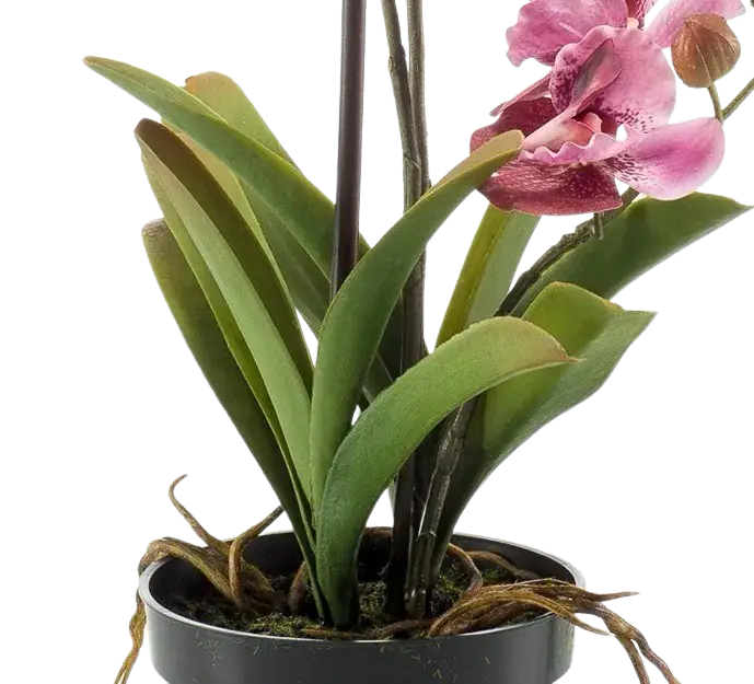 Künstliche Orchidee - Liam, 60 cm, Kunstblume von aplanta, im schwarzen Topf, in Pink, für drinnen