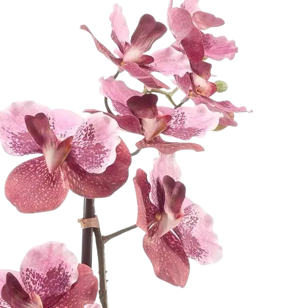Künstliche Orchidee - Liam, 60 cm, Kunstblume von aplanta, im schwarzen Topf, in Pink, für drinnen