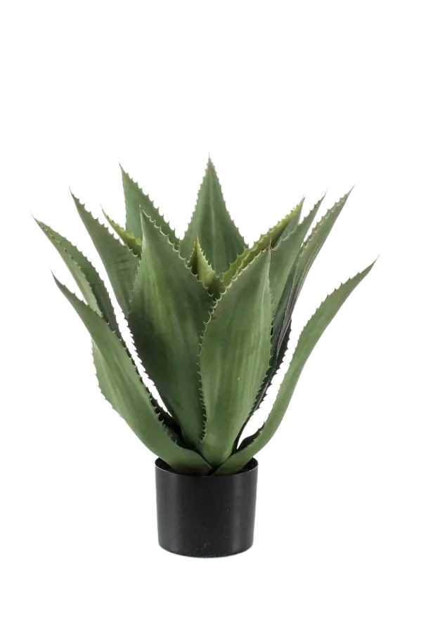 Künstliche Agave - Aki, 55 cm, Kunstpflanze von aplanta, im schwarzen Topf, in Natur, für drinnen