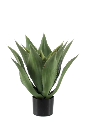 Künstliche Agave - Aki, 55 cm, Kunstpflanze von aplanta, im schwarzen Topf, in Natur, für drinnen