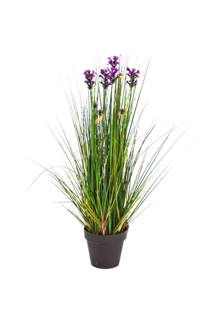 Künstlicher Lavendel - Milly, 60 cm, Kunstpflanze von aplanta, im schwarzen Topf, in Natur, für drinnen