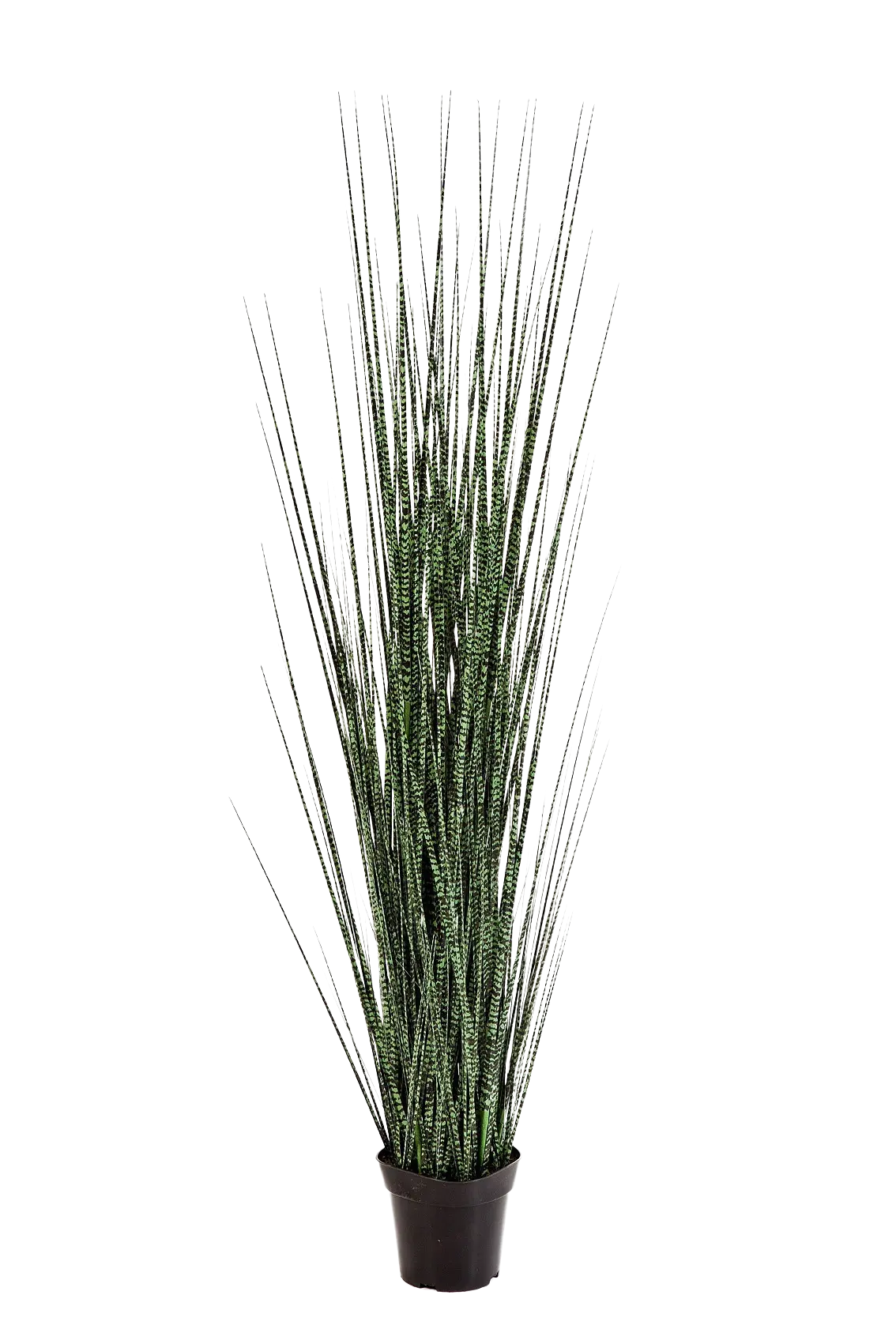 Künstliches Gras - Zebra, 120 cm, Kunstpflanze von aplanta, für drinnen