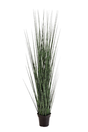 Künstliches Gras - Zebra, 120 cm, Kunstpflanze von aplanta, für drinnen