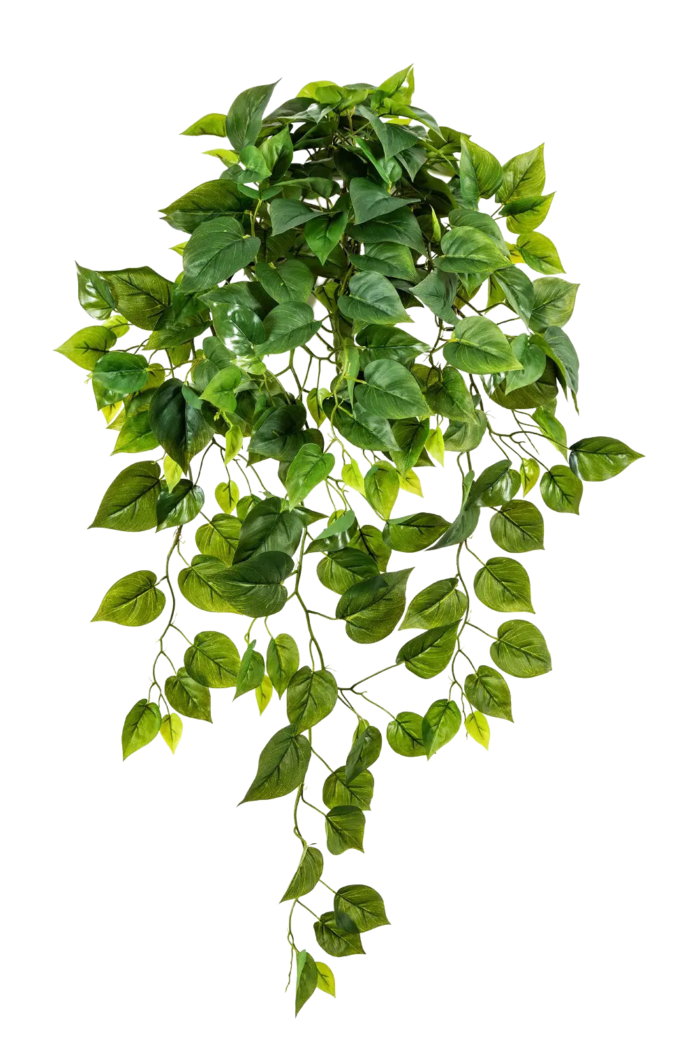 Künstliche Hänge-Monstera - Barbara, 85 cm, Kunstpflanze von aplanta, Steckpflanze, in Natur, für drinnen