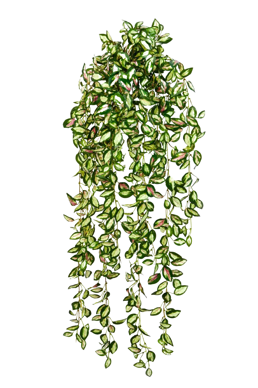 Künstliche Hänge-Hoya - Florentine, 85 cm, Kunstpflanze von aplanta, in Natur, für drinnen