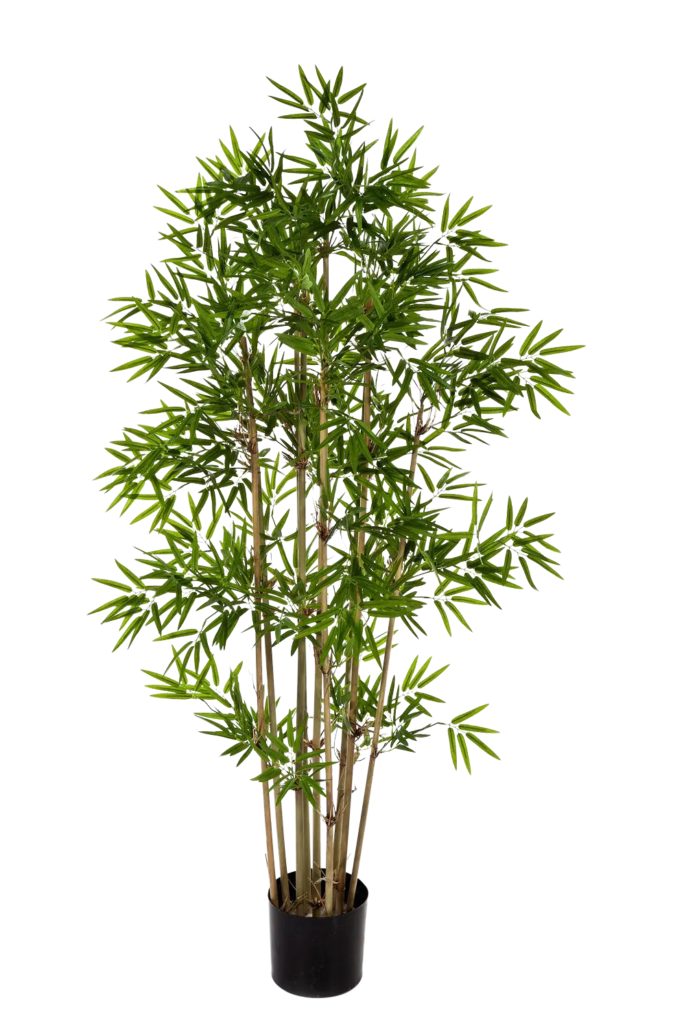 Künstlicher Bambus - Lotta, 200 cm, Kunstbaum von aplanta, mit Echtholzstamm, in Natur, für drinnen