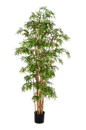 Künstlicher Bambus - Lucia, 200 cm, Kunstbaum von aplanta, mit Echtholzstamm, in Natur, für drinnen