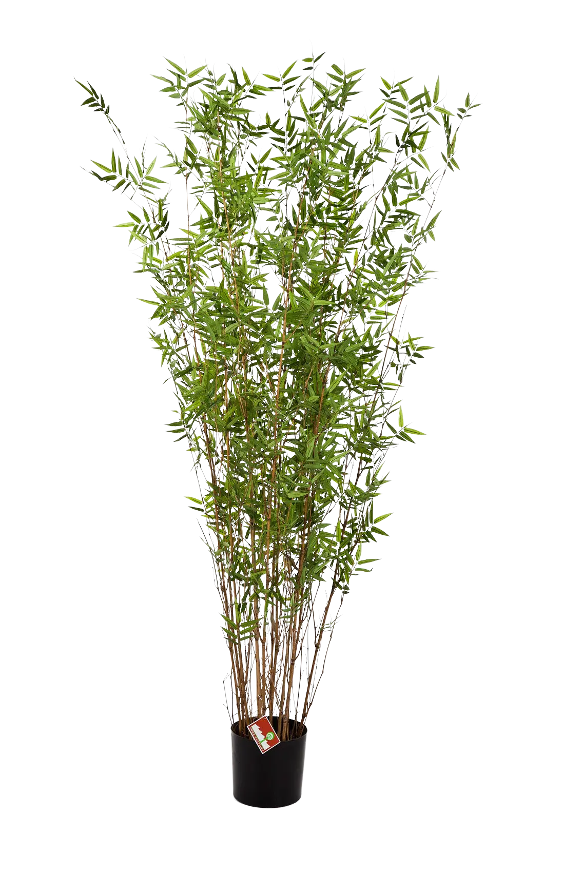 Künstlicher Bambus - Louis, 190 cm, Kunstbaum von aplanta, mit Echtholzstamm, in Natur, für drinnen