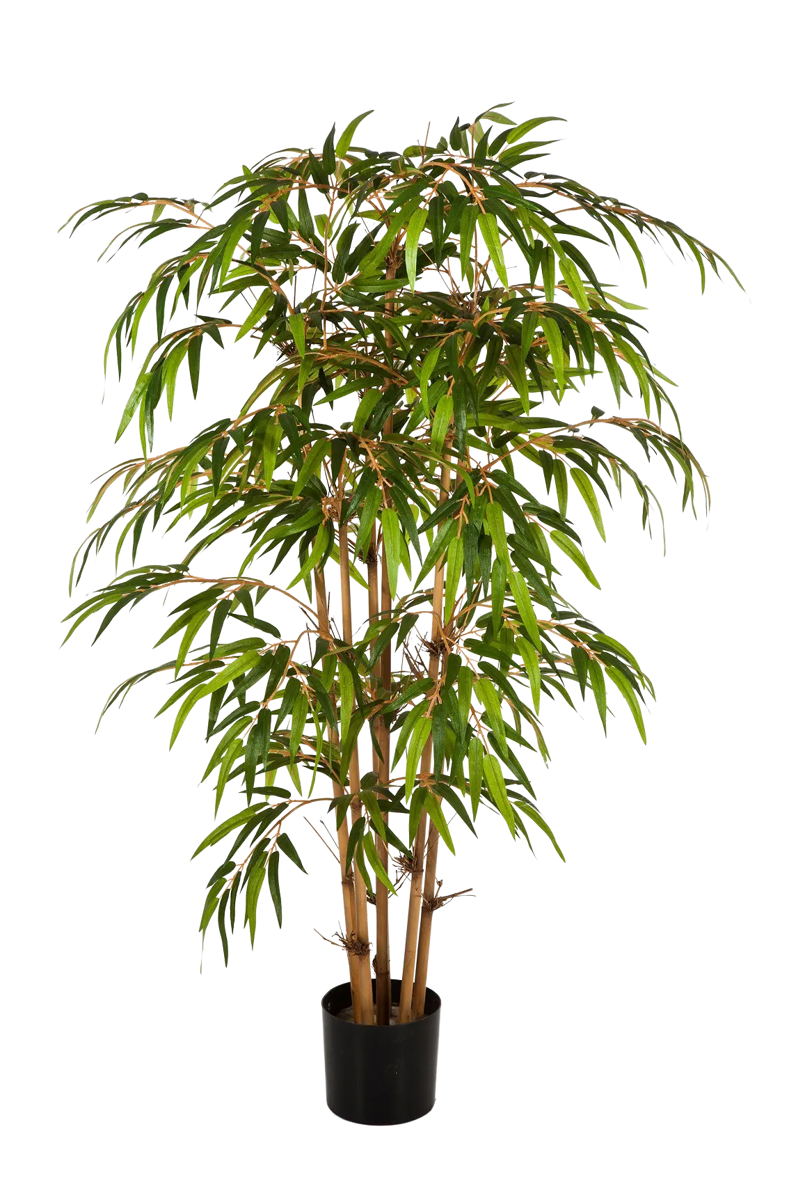 Künstlicher Bambus - Lasse, 150 cm, Kunstbaum von aplanta, mit Echtholzstamm, im schwarzen Topf, in Natur, für drinnen