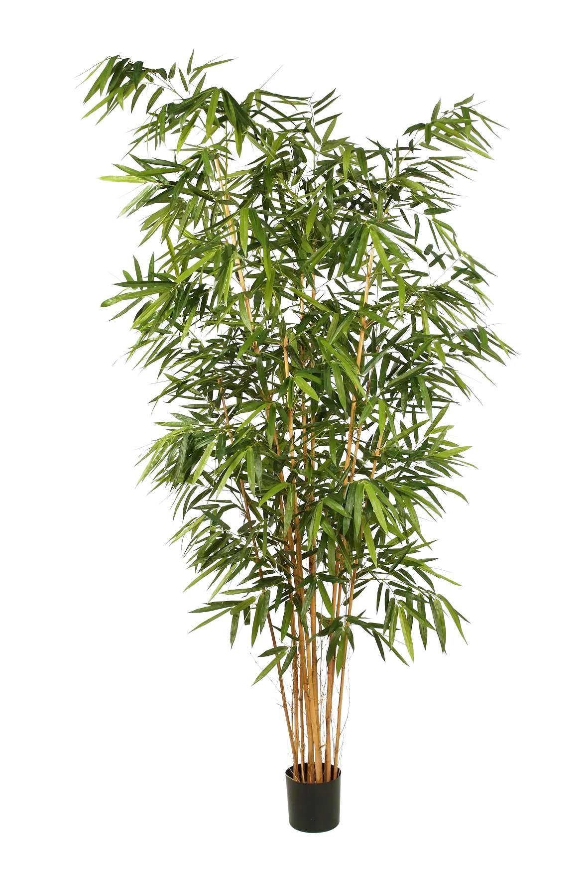 Künstlicher Bambus - Lars, 300 cm, Kunstbaum von aplanta, mit Echtholzstamm, in Natur, für drinnen