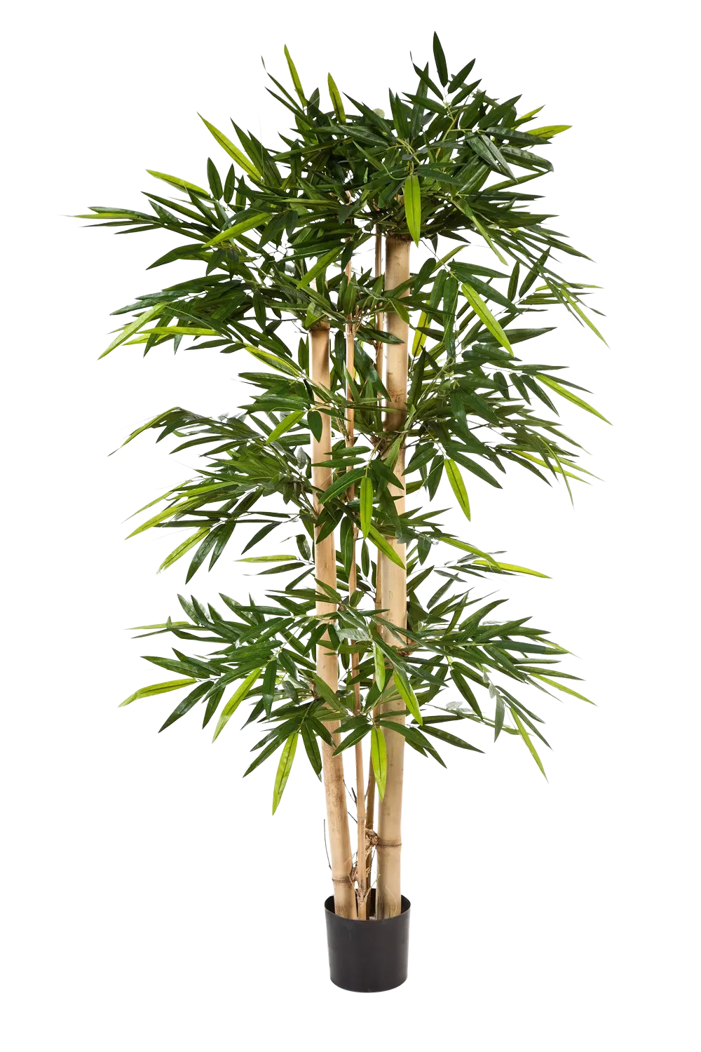 Künstlicher Bambus - Michael, 300 cm, Kunstbaum von aplanta, mit Echtholzstamm, in Natur, für drinnen