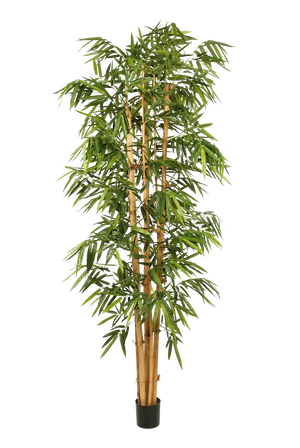 Künstlicher Bambus - Marlon, 240 cm, Kunstbaum von aplanta, mit Echtholzstamm, in Natur, für drinnen